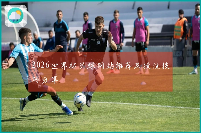 2026世界杯买球网站推荐及投注技巧分享
