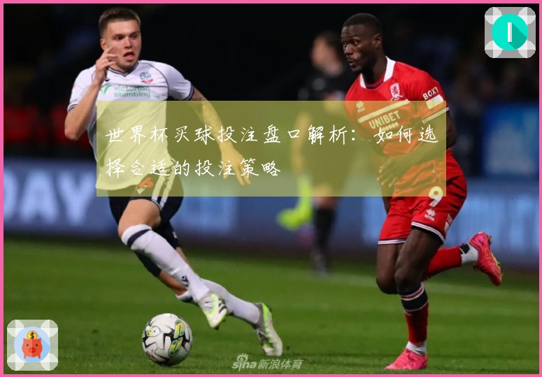 世界杯买球投注盘口解析：如何选择合适的投注策略
