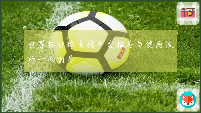 世界杯让球竞猜平台推荐与使用技巧一网打尽