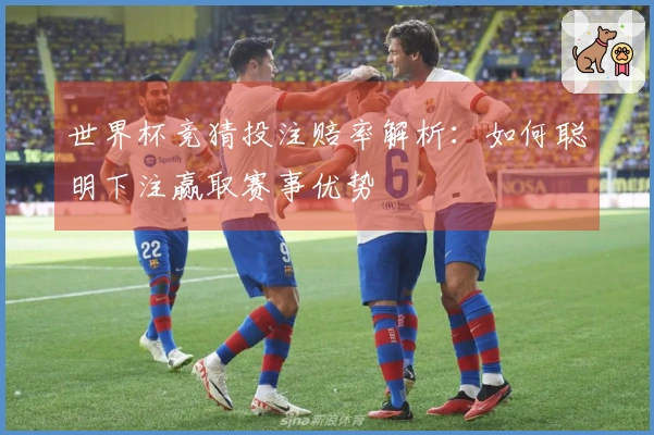 世界杯竞猜投注赔率解析：如何聪明下注赢取赛事优势