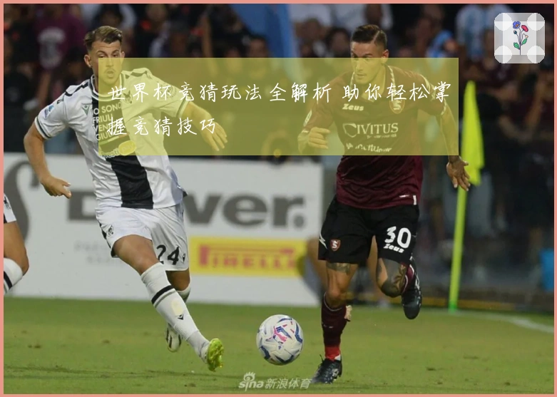 世界杯竞猜玩法全解析 助你轻松掌握竞猜技巧