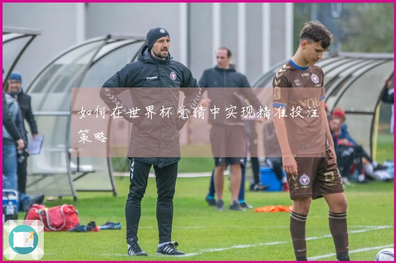 如何在世界杯竞猜中实现精准投注策略