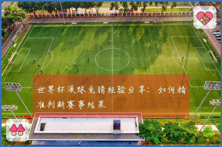世界杯滚球竞猜经验分享：如何精准判断赛事结果