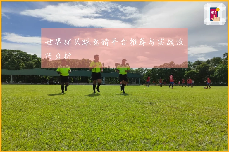 世界杯买球竞猜平台推荐与实战技巧分析