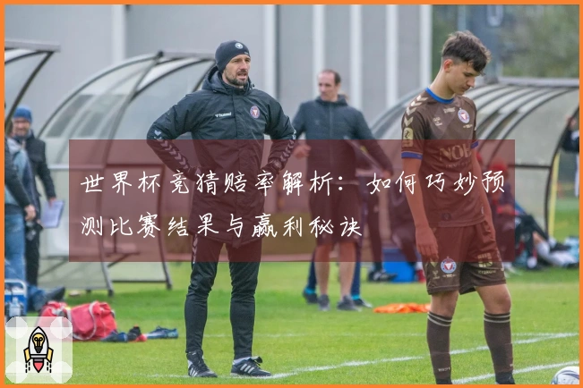 世界杯竞猜赔率解析：如何巧妙预测比赛结果与赢利秘诀