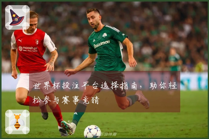 世界杯投注平台选择指南，助你轻松参与赛事竞猜