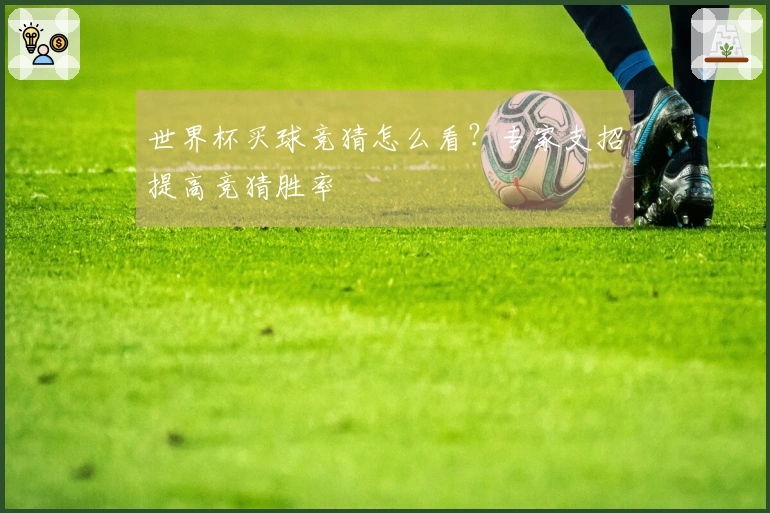 世界杯买球竞猜怎么看？专家支招提高竞猜胜率